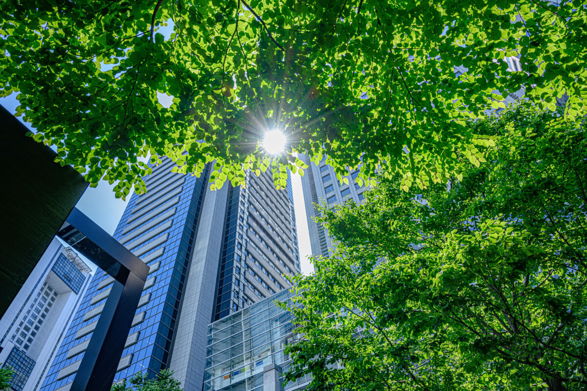 新緑の隙間から日差しが差し込む、オフィス街の風景
